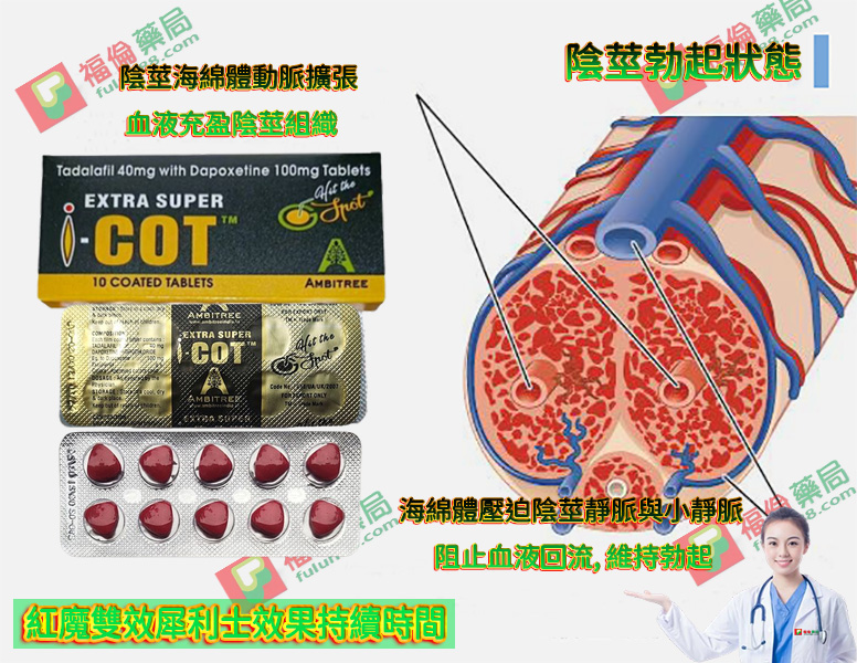 紅魔雙效犀利士效果, 印度紅魔, 印度紅魔ptt, 印度紅魔作用, 印度紅魔價格, 印度紅魔價錢, 印度紅魔副作用, 印度紅魔功效, 印度紅魔吃法, 印度紅魔哪裡買, 印度紅魔多少錢, 印度紅魔官網, 印度紅魔屈臣氏, 印度紅魔心得, 印度紅魔成分, 印度紅魔效果, 印度紅魔效果好嗎, 印度紅魔有副作用嗎, 印度紅魔用法, 印度紅魔網購, 印度紅魔藥局, 印度紅魔處方箋, 印度紅魔評價, 印度雙效犀利士評價, 紅魔雙效犀利士
