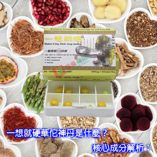 一想就硬使用, 一想就硬保健品, 一想就硬價格, 一想就硬功效, 一想就硬助勃, 一想就硬哪裡買, 一想就硬壯陽, 一想就硬壯陽藥, 一想就硬效果, 一想就硬是什麼, 一想就硬有副作用嗎, 一想就硬服用, 一想就硬正品, 一想就硬用法, 一想就硬男性保健品, 一想就硬華佗神丹, 一想就硬藥局有賣嗎, 一想就硬藥局購買, 一想就硬評價, 一想就硬購買, 壯陽藥, 壯陽藥哪裡買, 壯陽藥藥局, 壯陽藥購買