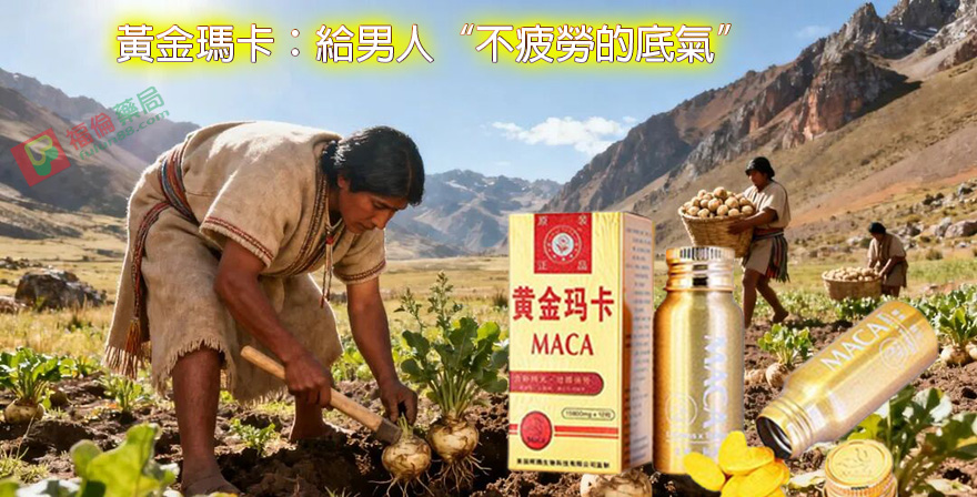瑪卡, 瑪卡哪裡買, 瑪卡壯陽補腎, 瑪卡是什麼, 瑪卡產地, 瑪卡網路購買, 黃金瑪卡, 黃金瑪卡MACA, 黃金瑪卡作用, 黃金瑪卡價錢, 黃金瑪卡副作用, 黃金瑪卡劑量, 黃金瑪卡功效, 黃金瑪卡哪裡買, 黃金瑪卡壯陽, 黃金瑪卡多少錢, 黃金瑪卡對比, 黃金瑪卡成分, 黃金瑪卡效果, 黃金瑪卡正品, 黃金瑪卡的吃法, 黃金瑪卡網路購買, 黃金瑪卡藥局, 黃金瑪卡藥效, 黃金瑪卡藥理 三得利瑪卡, 瑪卡, 瑪卡ptt, 瑪卡不能跟什麼一起吃, 瑪卡什麼時候吃, 瑪卡保養, 瑪卡功效, 瑪卡原果, 瑪卡哪裡買, 瑪卡壯陽補腎, 瑪卡推薦, 瑪卡推薦dcard, 瑪卡是什麼, 瑪卡服用, 瑪卡產地, 瑪卡用法, 瑪卡粉, 瑪卡網路購買, 瑪卡膠囊, 瑪卡要吃多久, 瑪卡購買